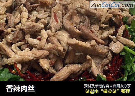 香辣肉丝