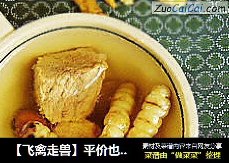 【飞禽走兽】平价也能滋补——地蚕炖瘦肉
