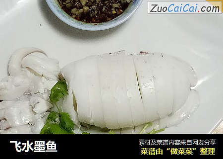 飞水墨鱼