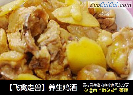 【飞禽走兽】养生鸡酒