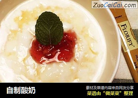 自制酸奶