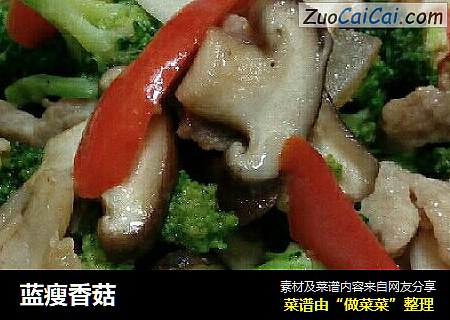 蓝瘦香菇