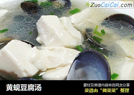 黄蚬豆腐汤