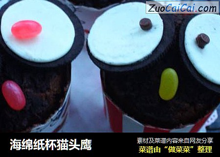 海绵纸杯猫头鹰