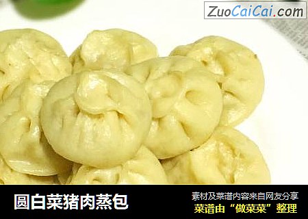 圆白菜猪肉蒸包
