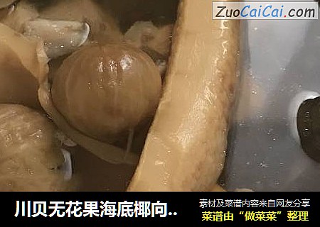 川贝无花果海底椰向螺煲瘦肉