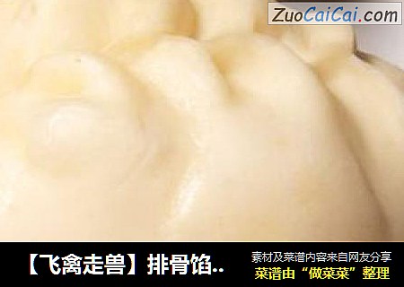 【飞禽走兽】排骨馅大包子