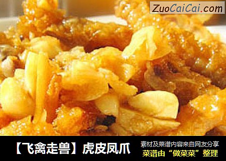 【飞禽走兽】虎皮凤爪