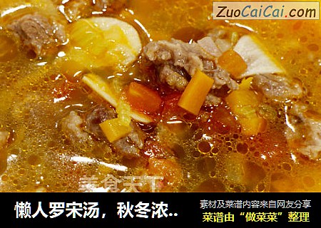 懒人罗宋汤，秋冬浓缩精华--威厨艺