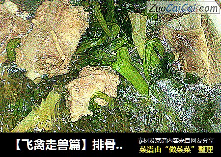 【飞禽走兽篇】排骨炖小白菜