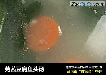 芜茜豆腐鱼头汤