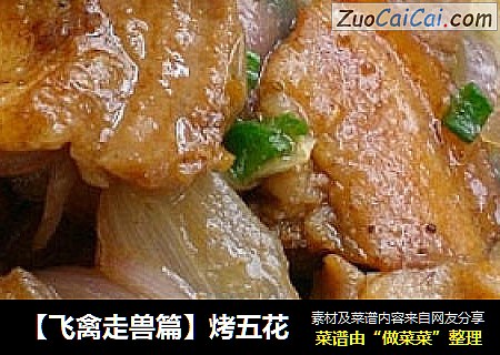 【飞禽走兽篇】烤五花