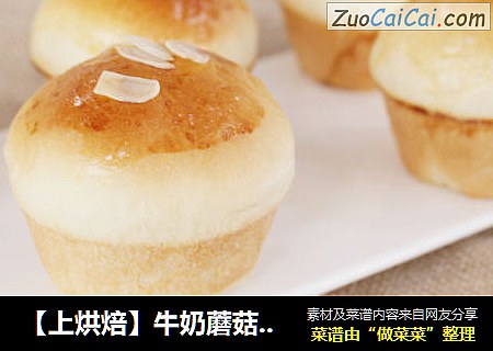 【上烘焙】牛奶蘑菇小餐包