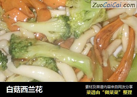 白菇西兰花
