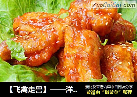 【飞禽走兽】——洋烧排骨