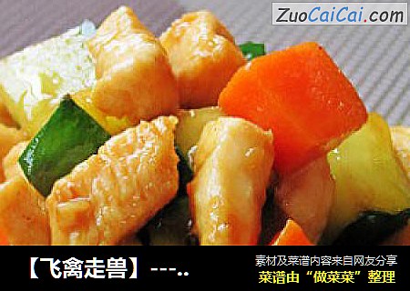 【飞禽走兽】---酱爆鸡丁