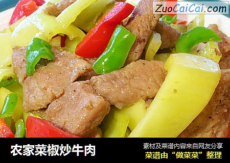 农家菜椒炒牛肉