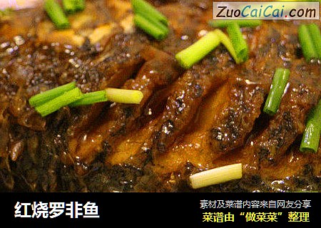 红烧罗非鱼