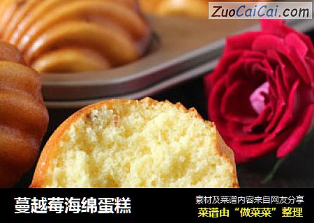 蔓越莓海绵蛋糕