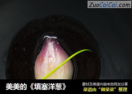 美美的《填塞洋葱》