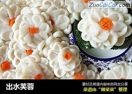出水芙蓉