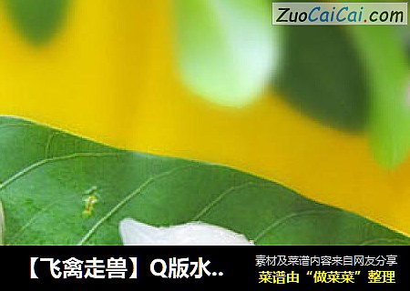【飞禽走兽】Q版水晶皮冻