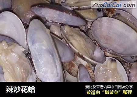 辣炒花蛤
