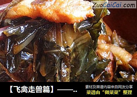 ［飞禽走兽篇］——梅菜腩肉煲