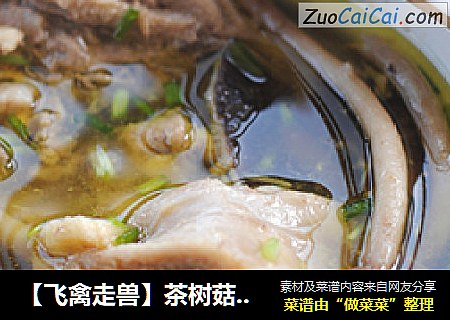 【飞禽走兽】茶树菇土鸡汤——食材是靓汤的关键