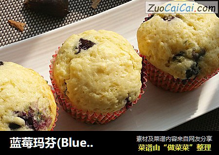 蓝莓玛芬(Blueberry Muffin)