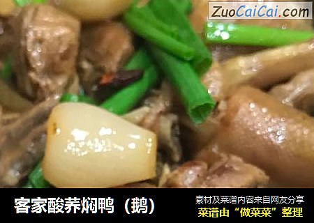 客家酸荞焖鸭（鹅）