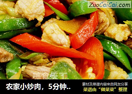 农家小炒肉，5分钟快手菜--威厨艺