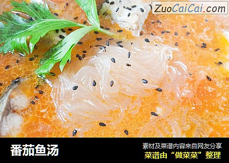 番茄鱼汤