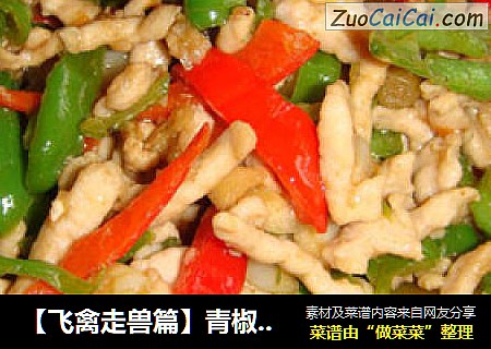 【飞禽走兽篇】青椒肉丝