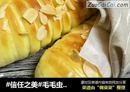 毛毛虫面包