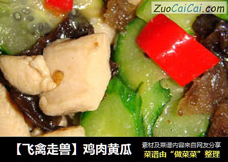 【飞禽走兽】鸡肉黄瓜