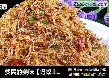贫民的美味【蚂蚁上树】