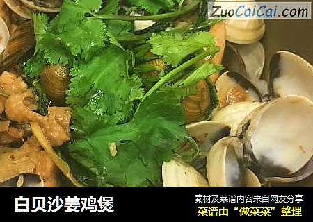 白贝沙姜鸡煲