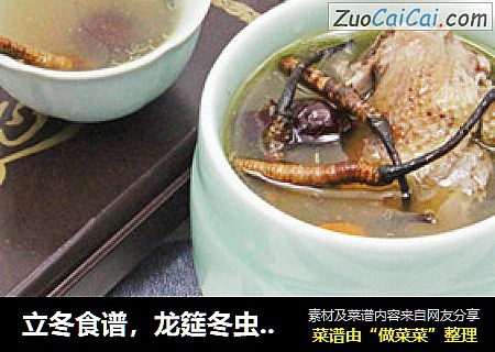 立冬食谱，龙筵冬虫夏草炖乳鸽