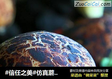 仿真蘑菇包