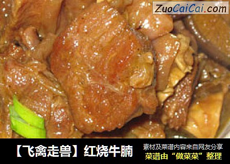【飞禽走兽】红烧牛腩