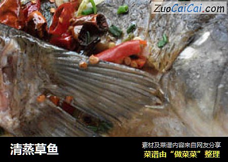 清蒸草鱼