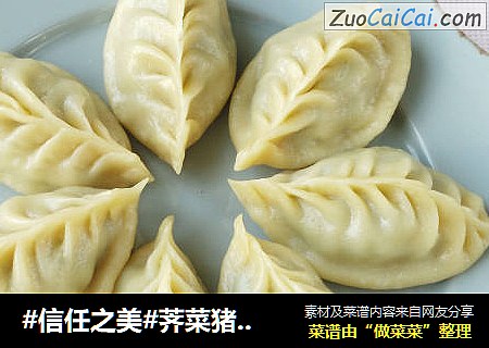 荠菜猪肉蒸包