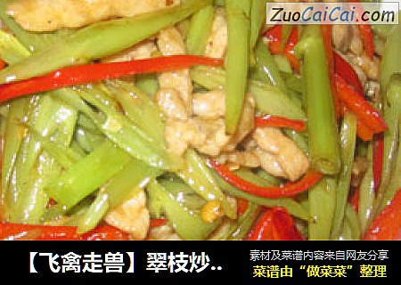 ［飞禽走兽］翠枝炒肉丝