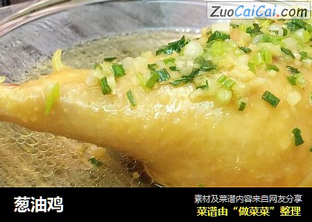 葱油鸡