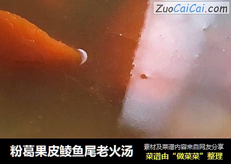 粉葛果皮鲮鱼尾老火汤