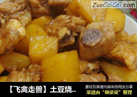 【飞禽走兽】土豆烧排骨