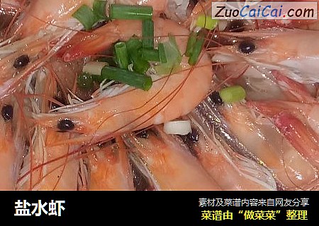 盐水虾