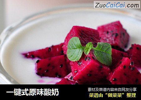 一键式原味酸奶