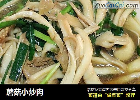 蘑菇小炒肉
